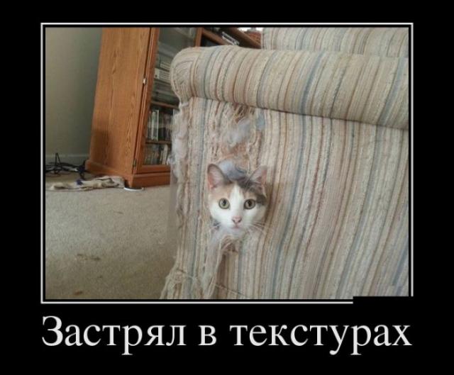 Демотиваторы (30 фото)