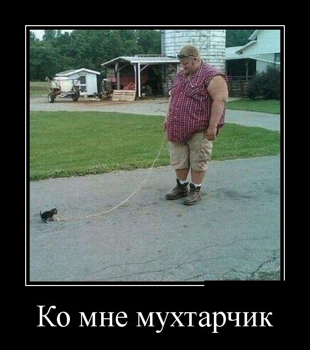 Демотиваторы (30 фото)