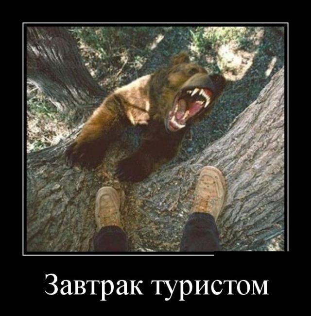 Демотиваторы (30 фото)