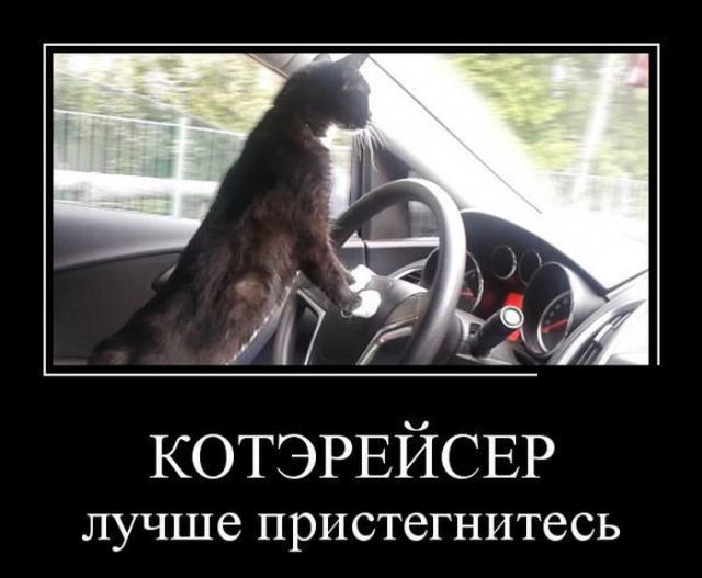 Демотиваторы (30 фото)