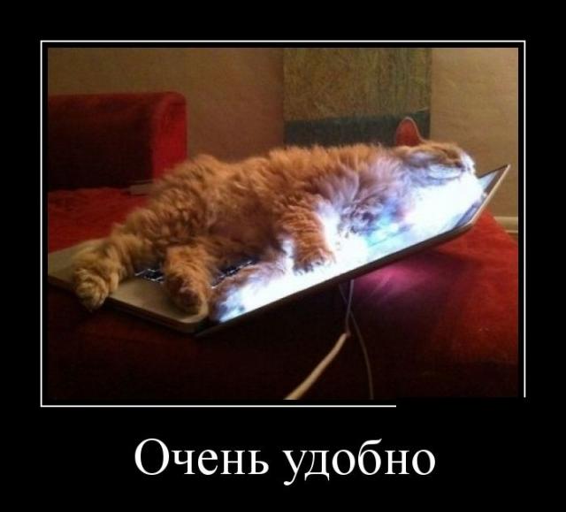 Демотиваторы (30 фото)