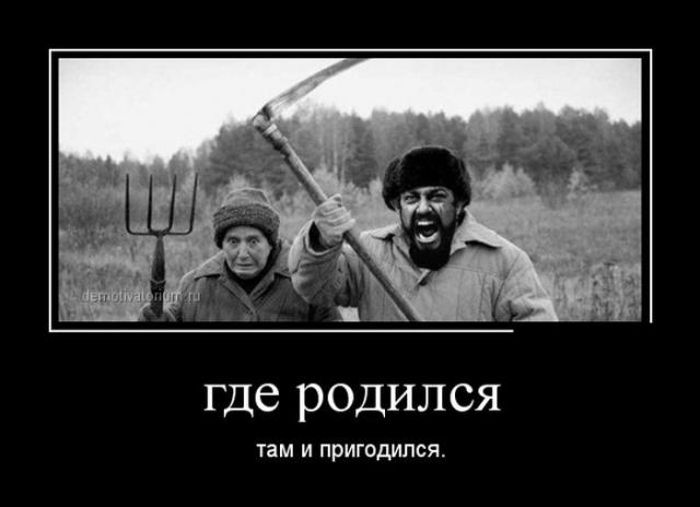 Демотиваторы (30 фото)