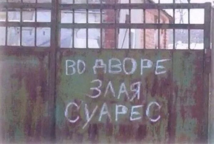 Забавные картинки