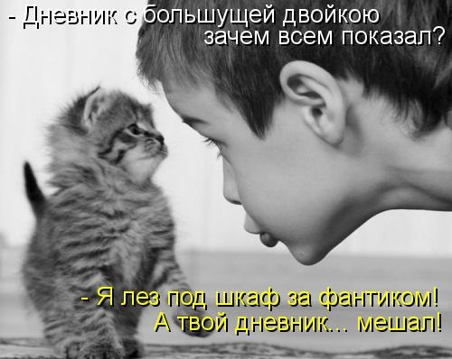 Котики и подписи (23 фото)