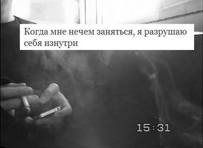 Прикольные картинки (113 фото)