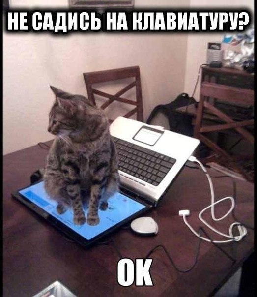 Прикольные картинки (113 фото)