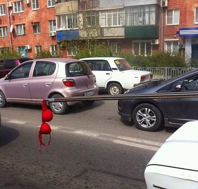 Прикольные картинки (113 фото)