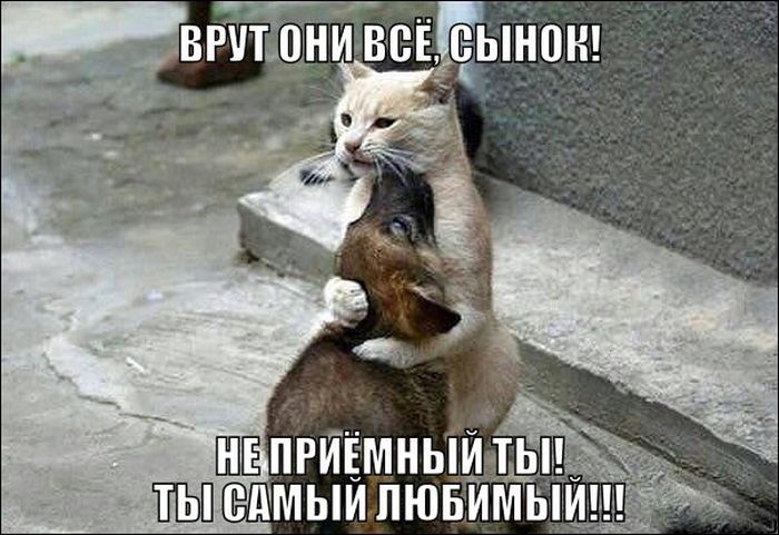 Прикольные картинки (113 фото)