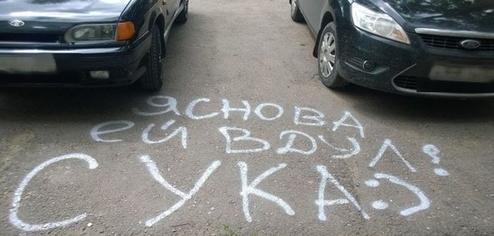 Прикольные картинки (113 фото)
