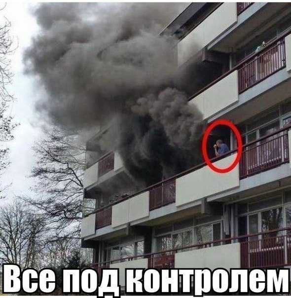 Прикольные картинки (113 фото)