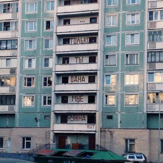 Прикольные картинки (113 фото)