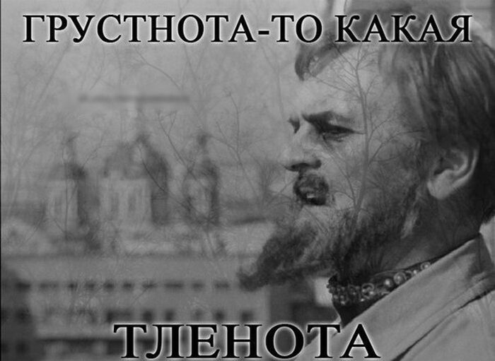 Прикольные картинки (113 фото)