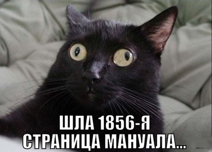 Прикольные картинки (113 фото)