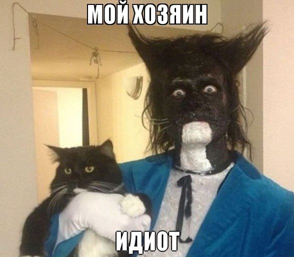 Прикольные картинки (113 фото)
