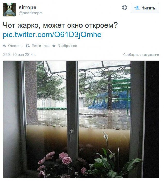 Забавные картинки