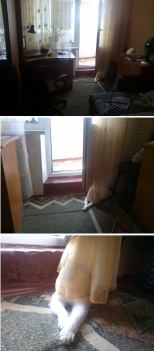 Прикольные картинки (53 фото)