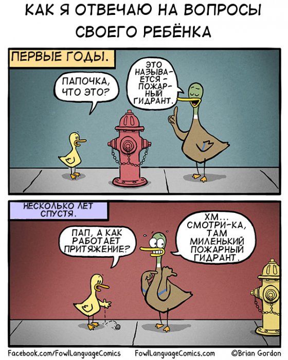 Забавные картинки