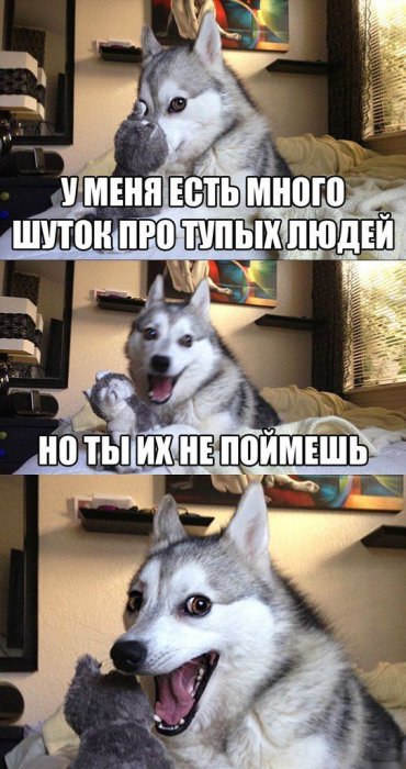 Забавные картинки