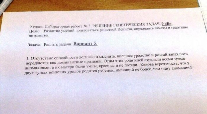 Забавные картинки