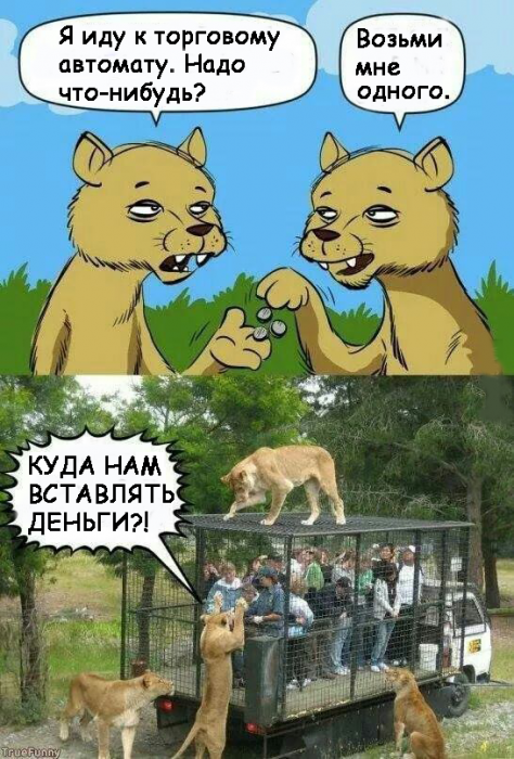 Забавные картинки