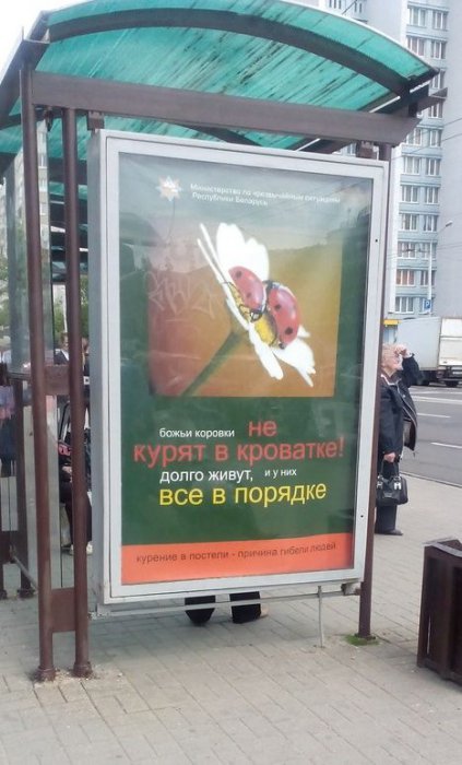 Забавные картинки