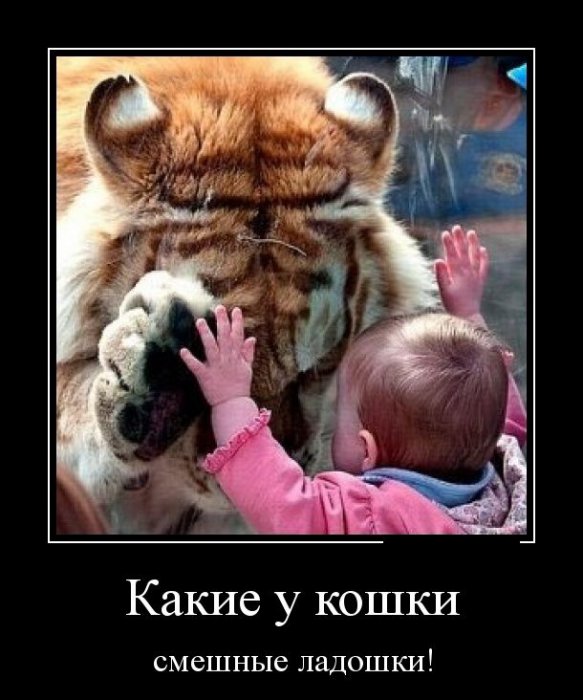 Демотиваторы (30 фото)