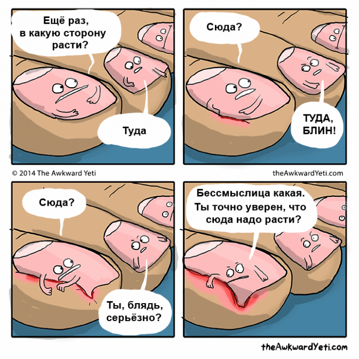 Забавные картинки