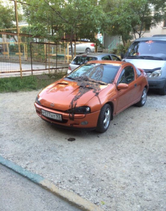 Ведро аргументов
