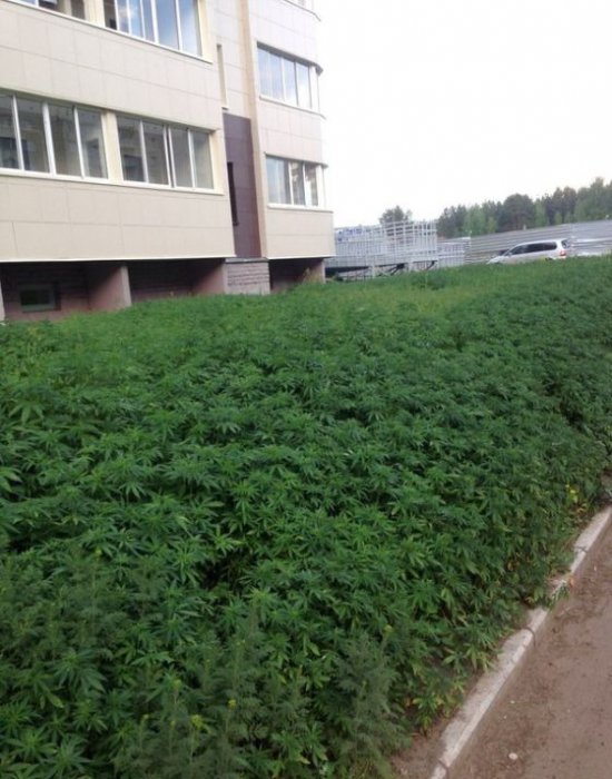 Прикольные картинки (83 фото)