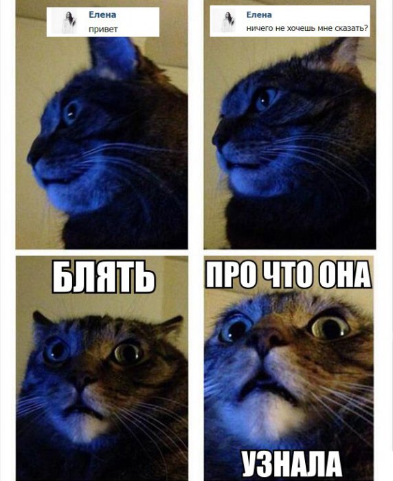Прикольные картинки (83 фото)