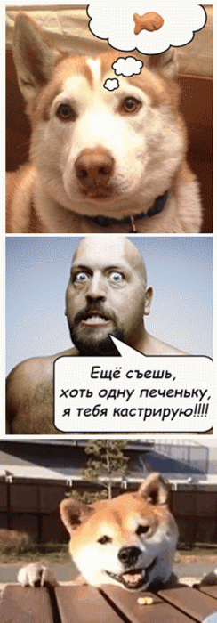 Забавные картинки