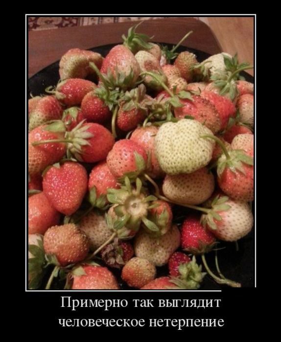 Демотиваторы (30 фото)