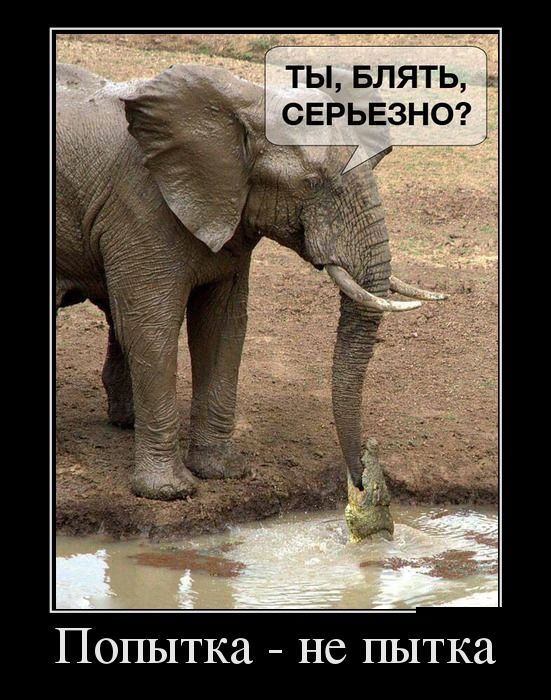 Демотиваторы (30 фото)