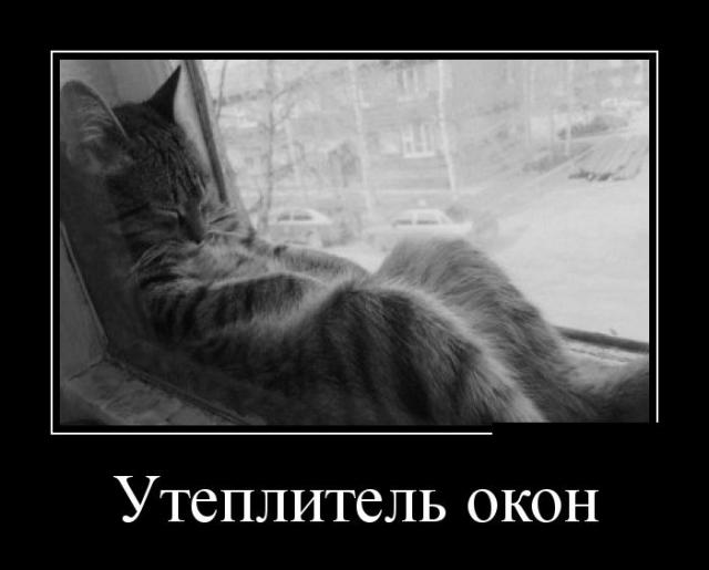 Демотиваторы (30 фото)