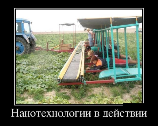 Демотиваторы (30 фото)