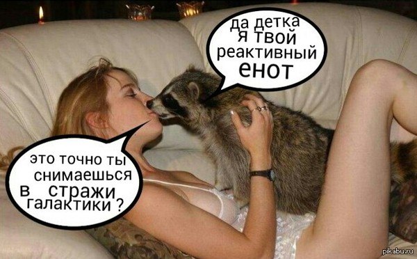 Забавные картинки