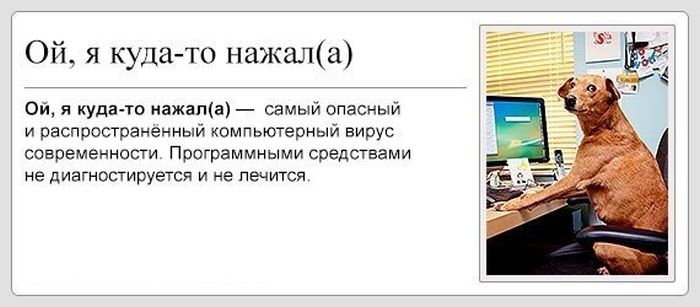Забавные картинки