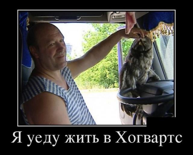 Демотиваторы (30 фото)