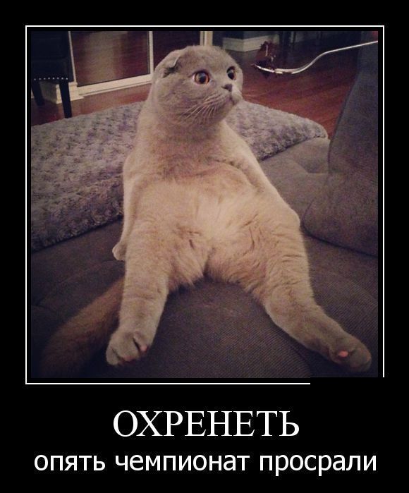 Демотиваторы (30 фото)