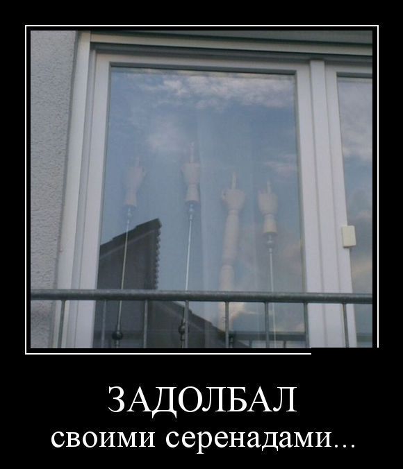Демотиваторы (30 фото)