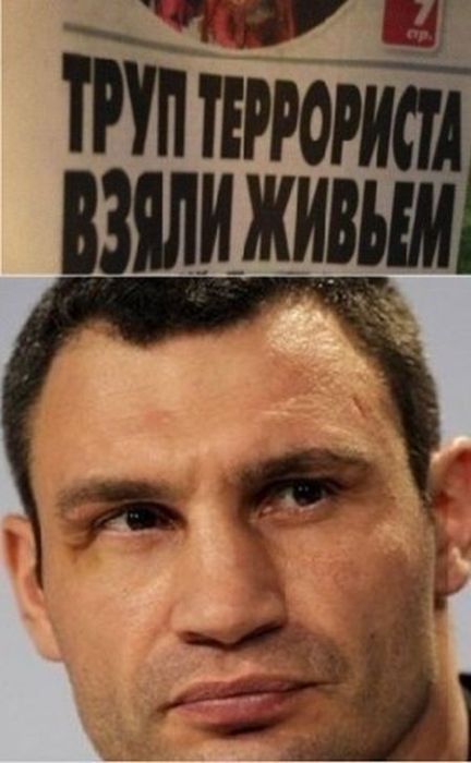 Забавные картинки