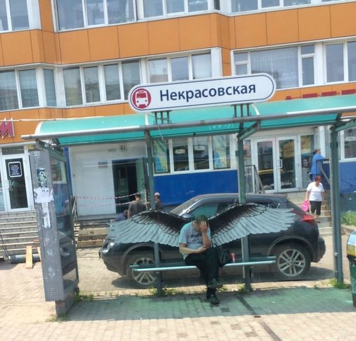 Забавные картинки
