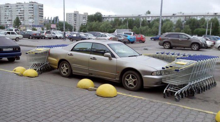 Забавные картинки