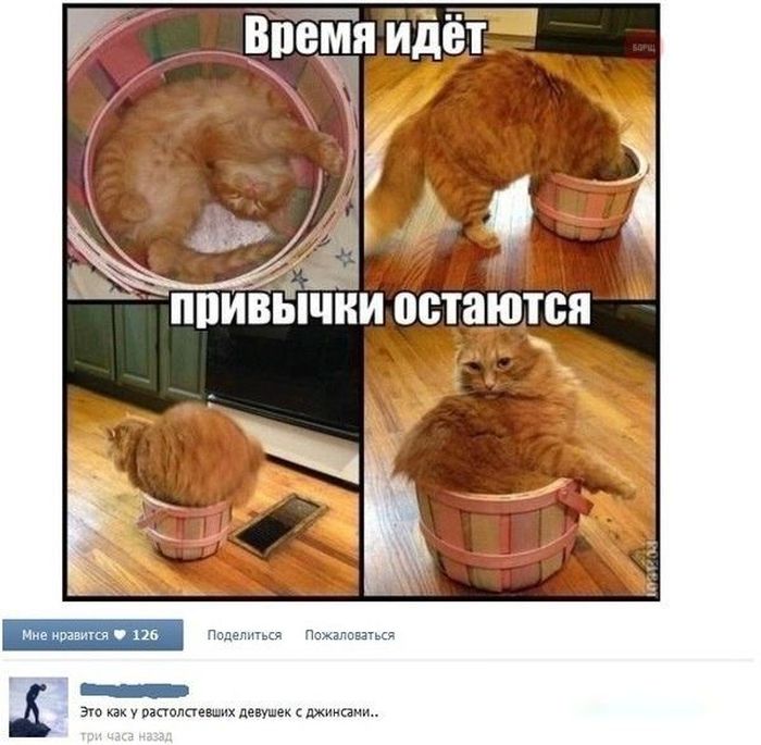 Забавные картинки