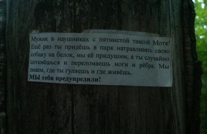 Прикольные картинки (104 фото)