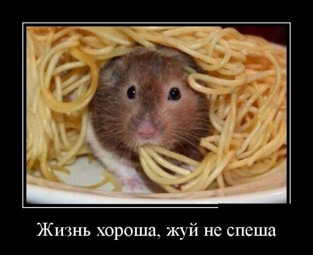 Демотиваторы (30 фото)