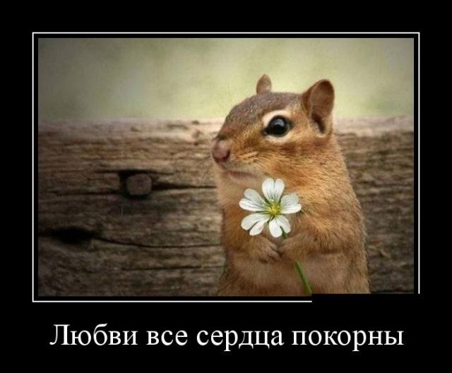 Демотиваторы (30 фото)