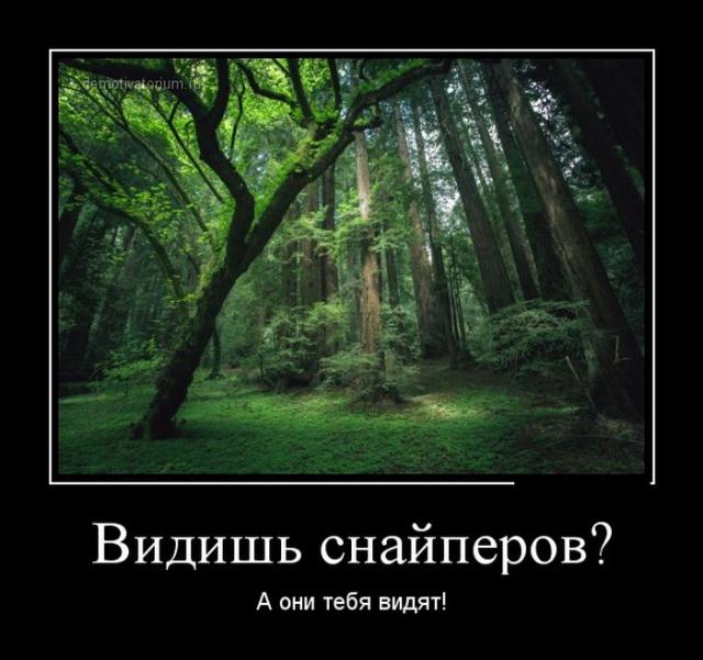 Демотиваторы (30 фото)