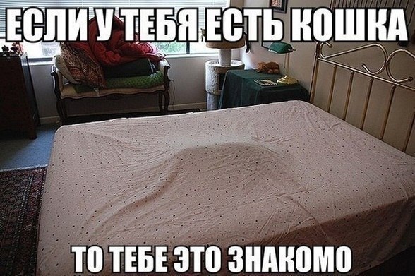 Прикольные картинки (108 фото)