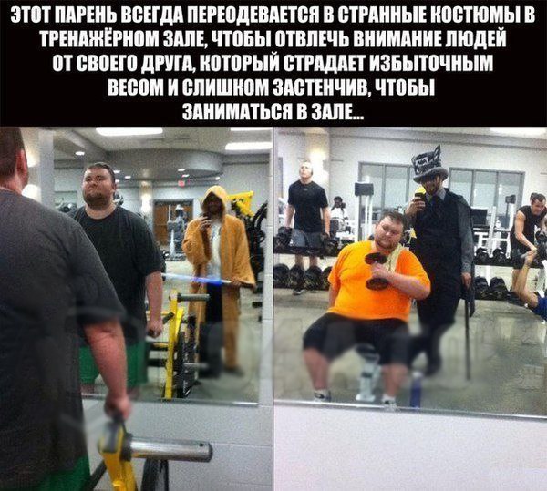 Забавные картинки